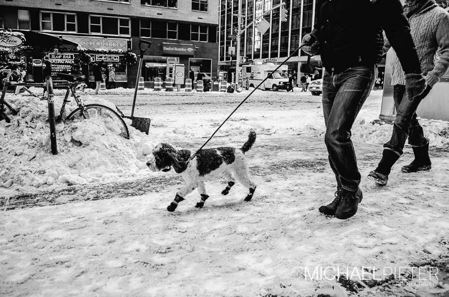 Nevada en New York Nueva York Cubierta de Nieve