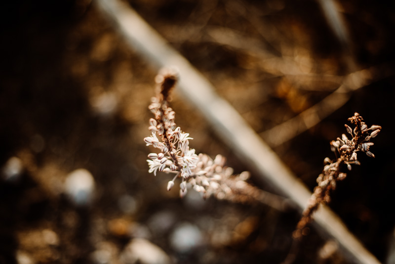 Bodas Civiles en cabo de gata Bodas Civiles en cabo de gata